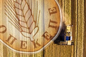 30.000 κόκκινοι ΑΦΜ στα χέρια της ∆ικαιοσύνης - Κρίσιμος ο ρόλος των ΚΥΔ